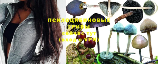 каннабис Балабаново