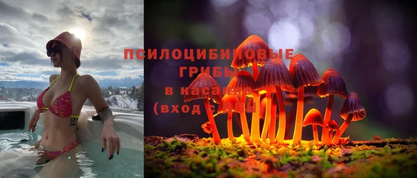 мескалин Балахна