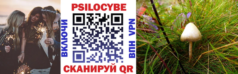 Псилоцибиновые грибы MAGIC MUSHROOMS  Балтийск 
