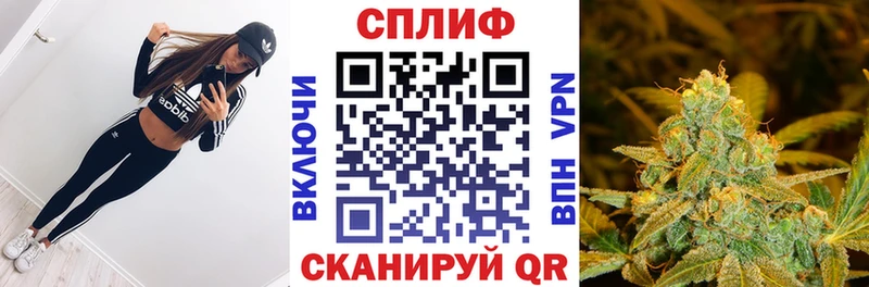Бошки Шишки VHQ Балтийск